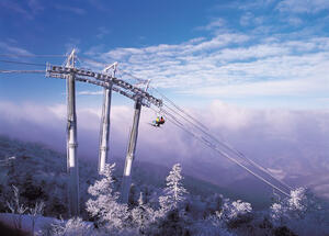 South Korea Ski Resort Report