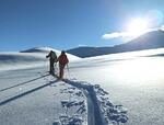 The Truman Snow: Discovering the Secret Door to Slackcountry
