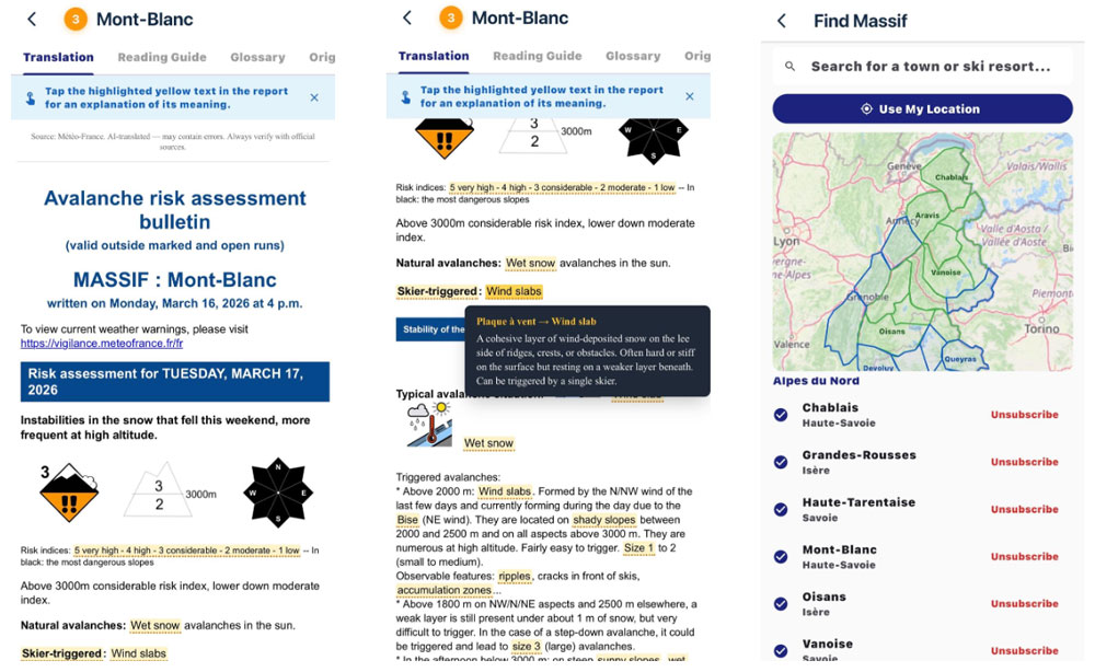 French Avy Reports translated into 8 Languages