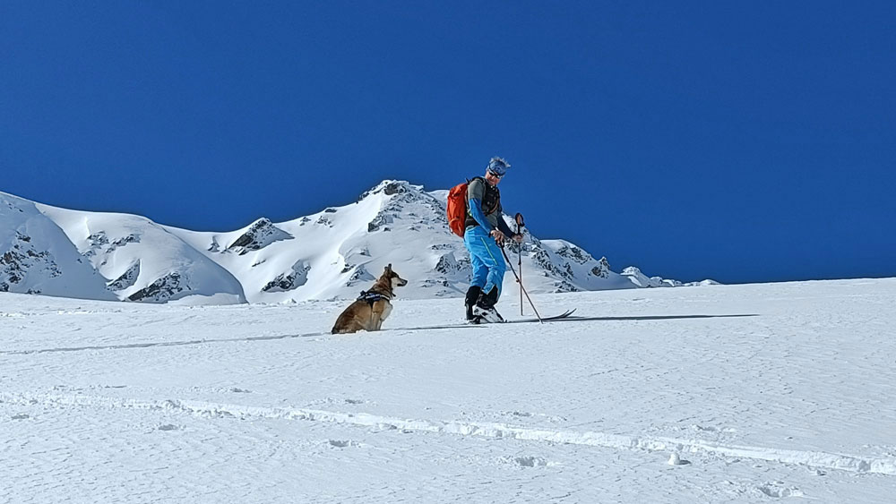 ski touring with jack russels style altitude