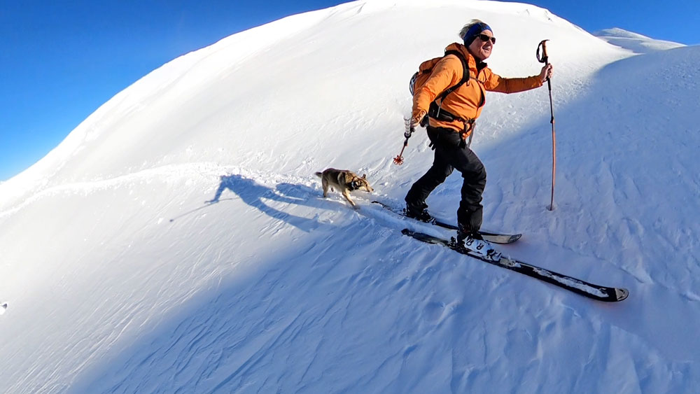 Backcountry ski-touring and skiing with your dog in off-piste powder after a Retour D'Est