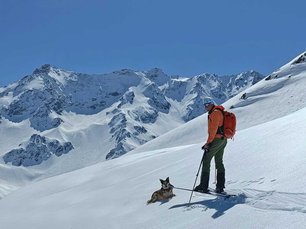 ski touring with dog