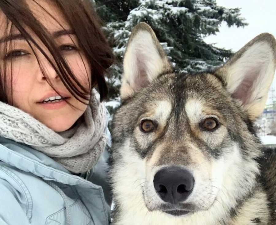 living with wolves